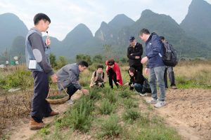凝心聚力，攜手前行 | 2024桂林山水趣游之旅，華工環(huán)源團(tuán)建旅游圓滿收官插圖4