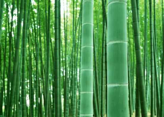首頁(yè)插圖20