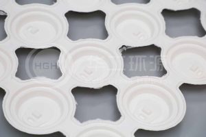 紙漿杯蓋：環(huán)保替代品的未來趨勢(shì)插圖1